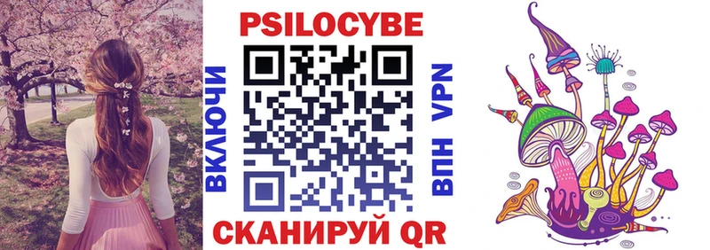 kraken ссылки  Отрадный  Галлюциногенные грибы Psilocybe 