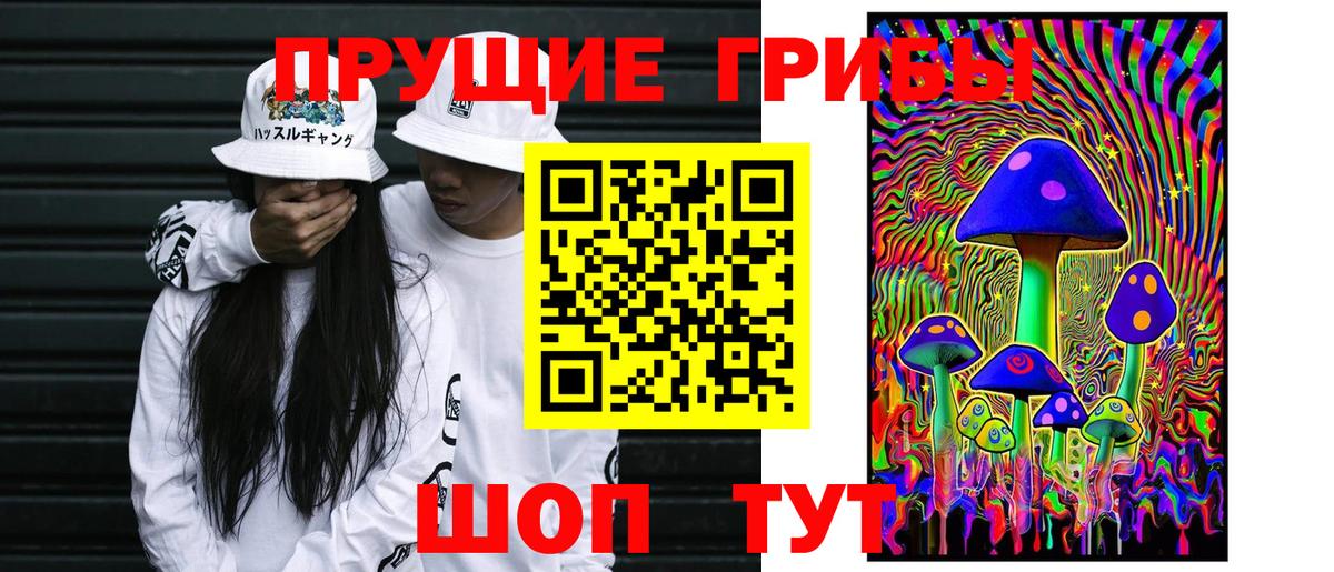 Псилоцибиновые грибы мицелий Отрадный