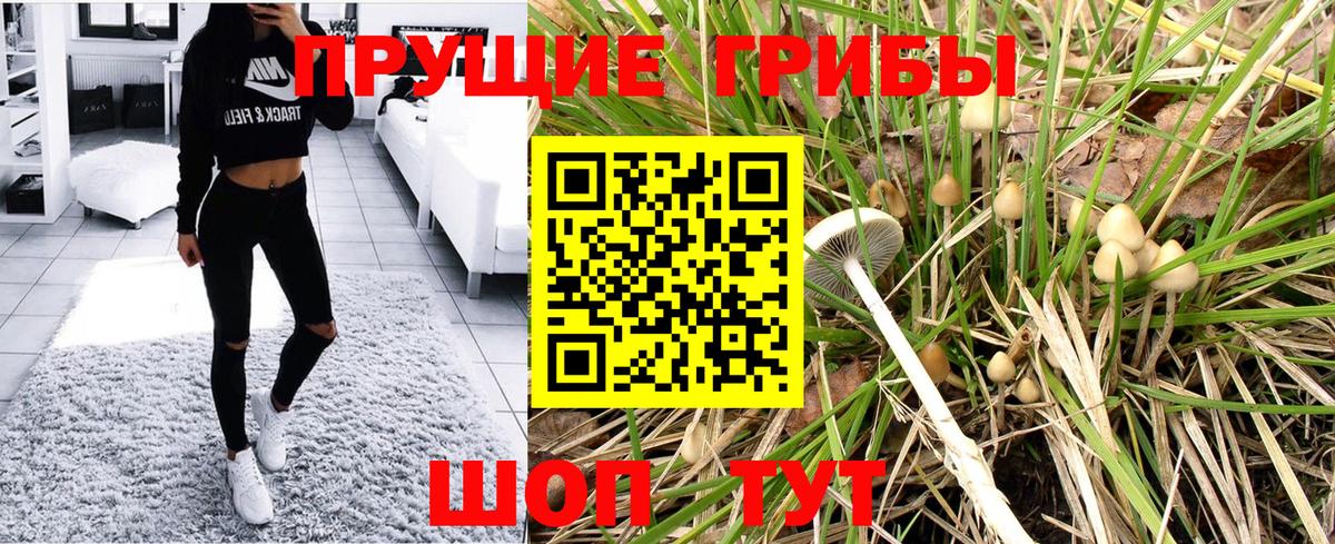 Галлюциногенные грибы мухоморы  Псилоцибиновые грибы ЛСД  Вход с VPN  Отрадный 