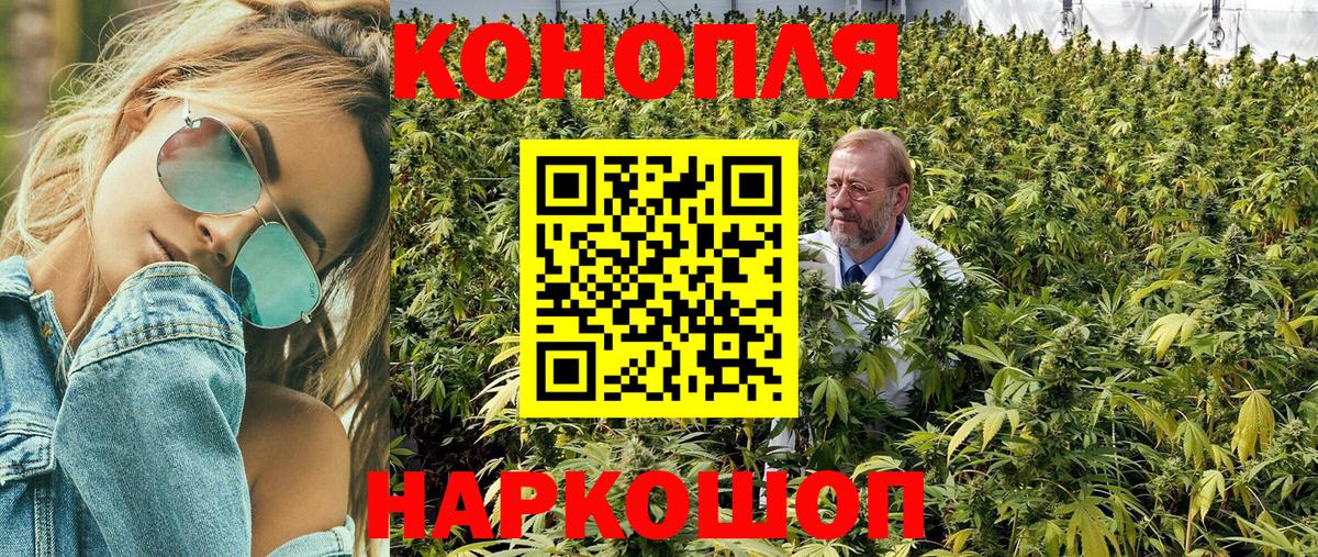 Галлюциногенные грибы Отрадный